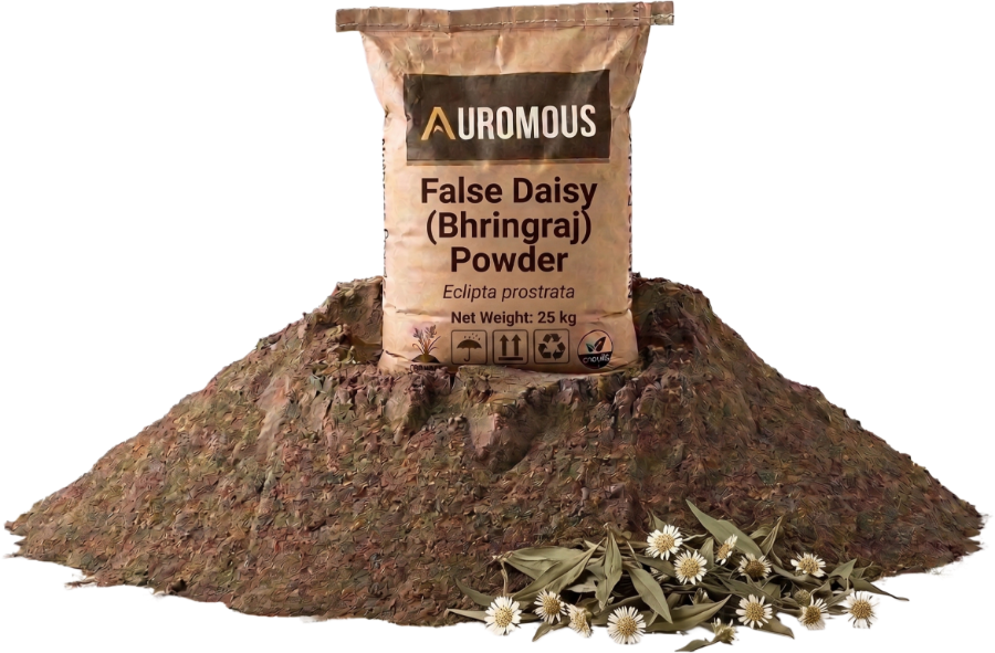 False Daisy (Bhringraj) Powder