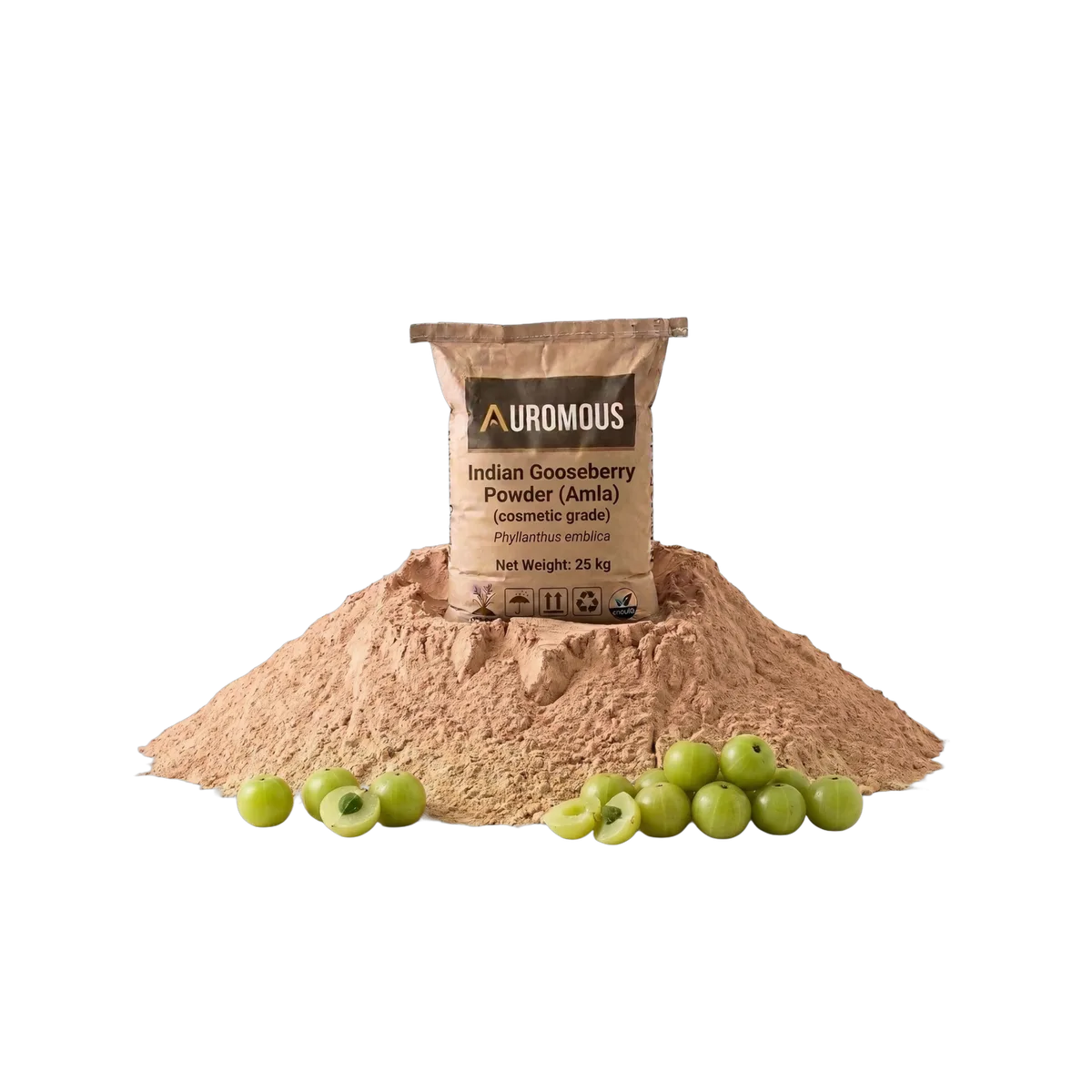Indian Gooseberry (Amla) Powder