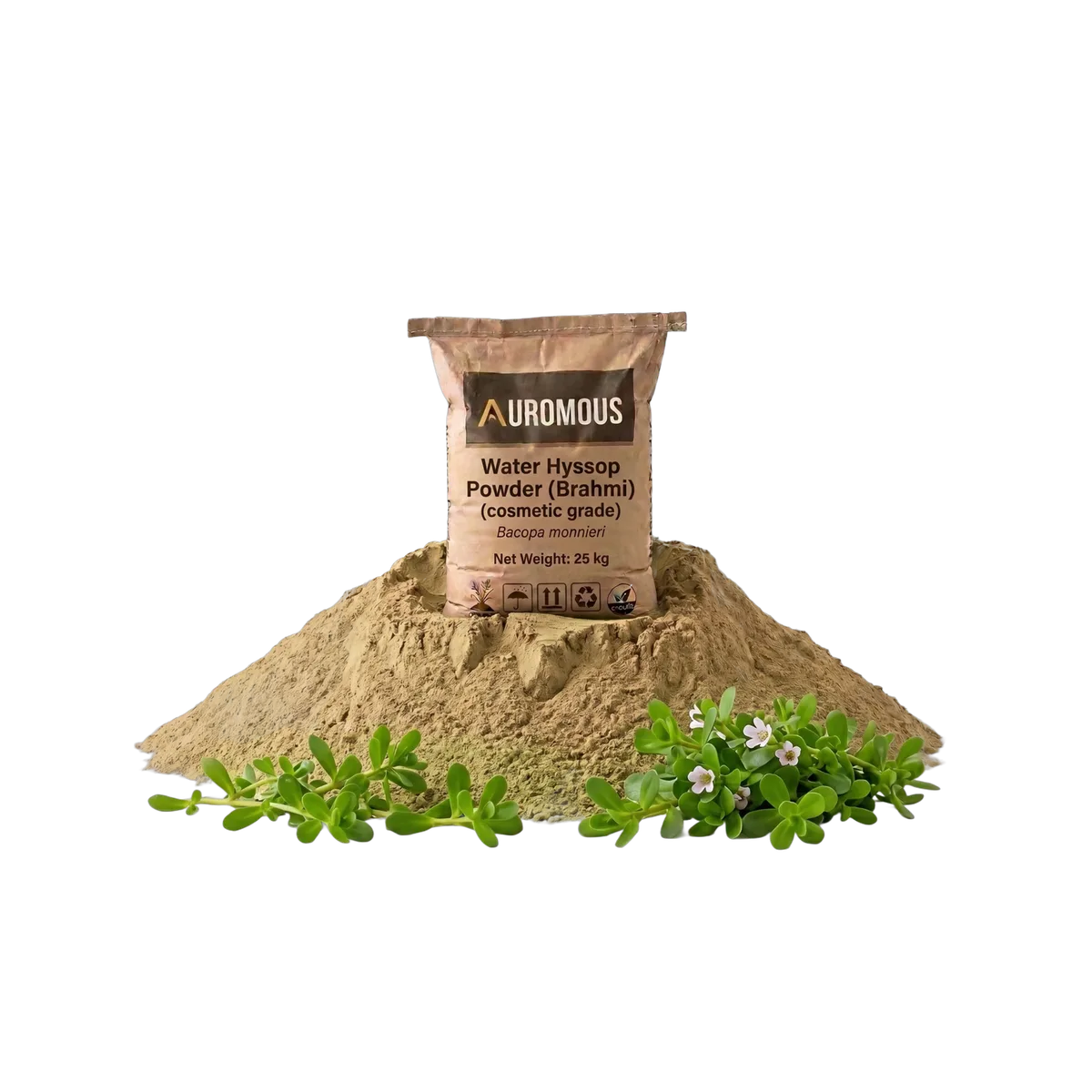 Water Hyssop Powder (Brahmi)