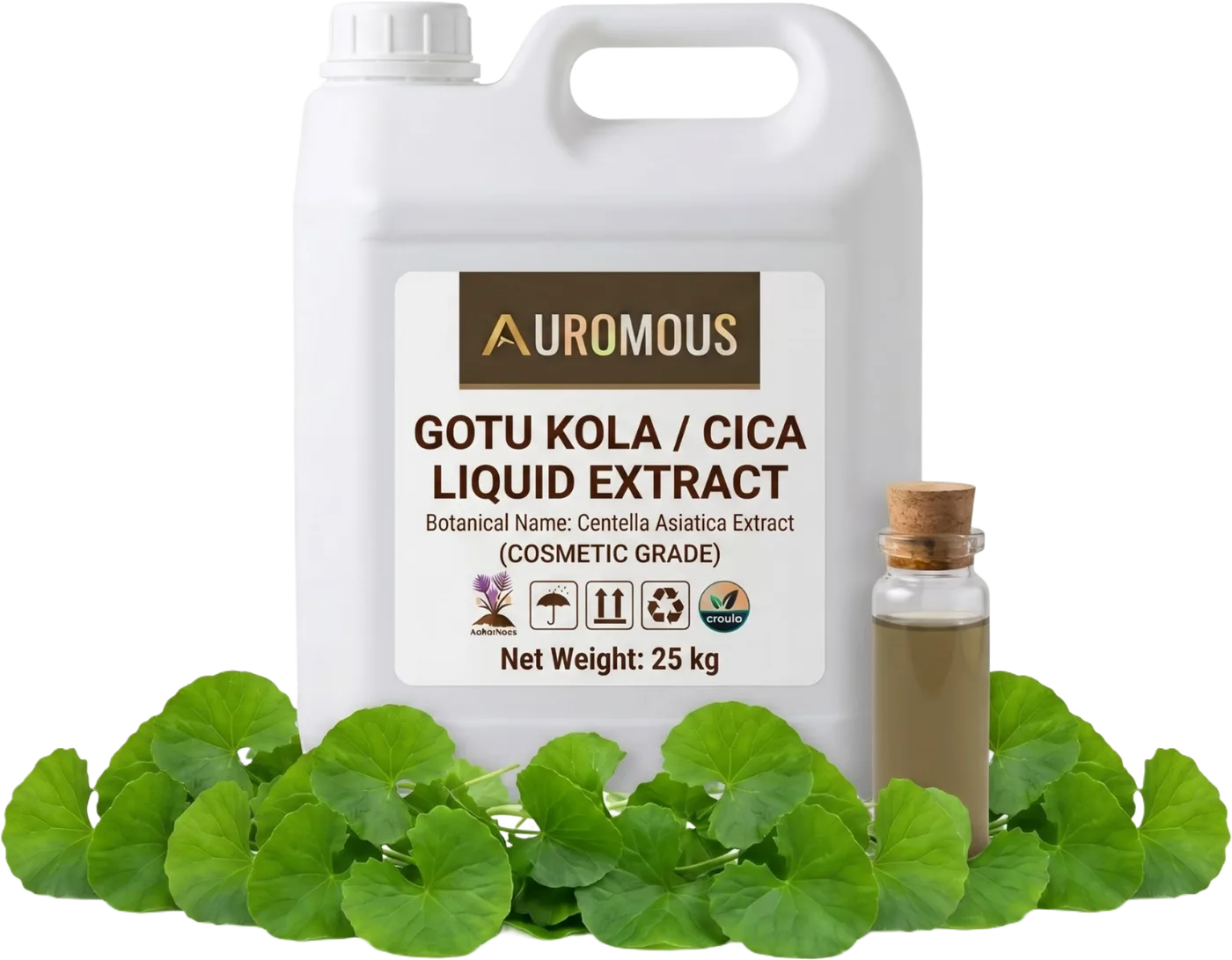 Gotu Kola / Cica Liquid Extract