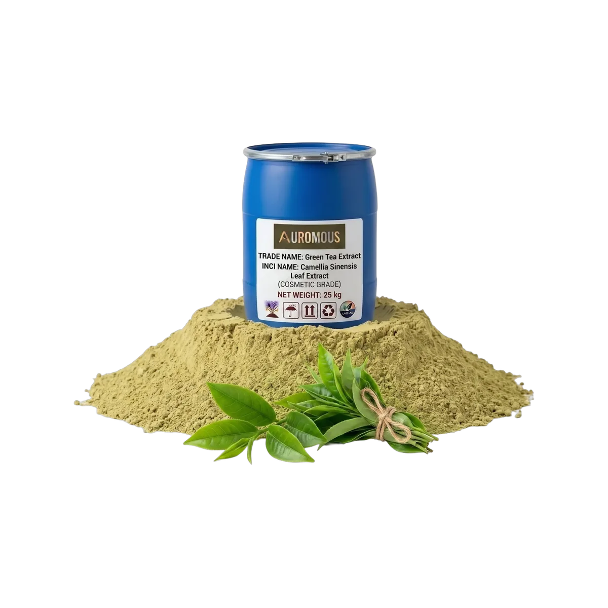 Green Tea Extract