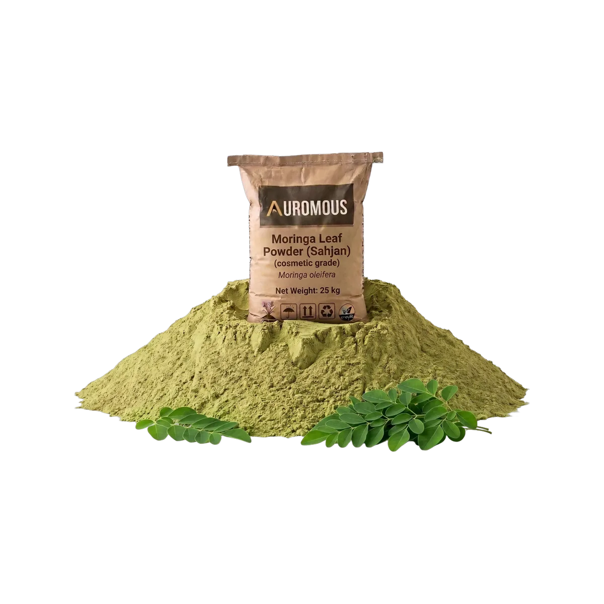 Moringa Leaf Powder (Sahjan)
