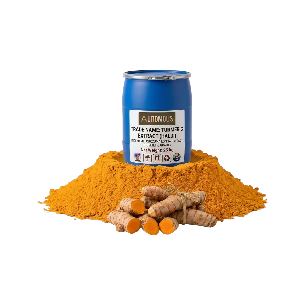 Turmeric Extract (Haldi)