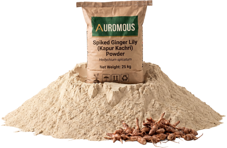 Spiked Ginger Lily (Kapur Kachri) Powder