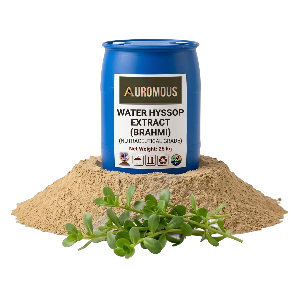 Water Hyssop Extract (Brahmi)