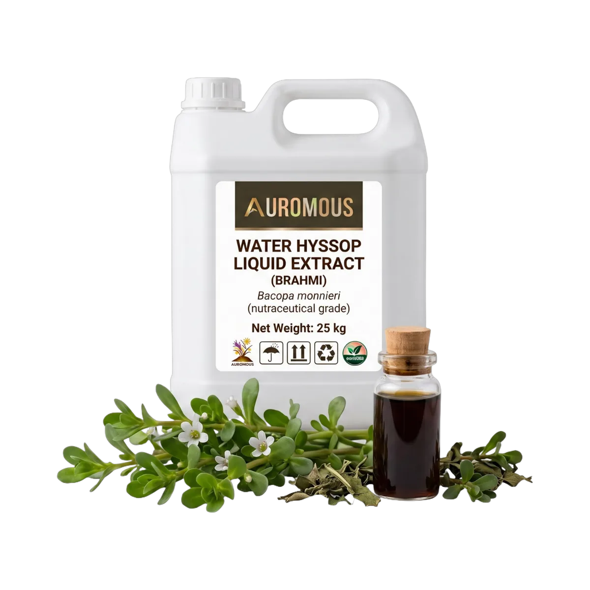 Water Hyssop Liquid Extract (Brahmi)