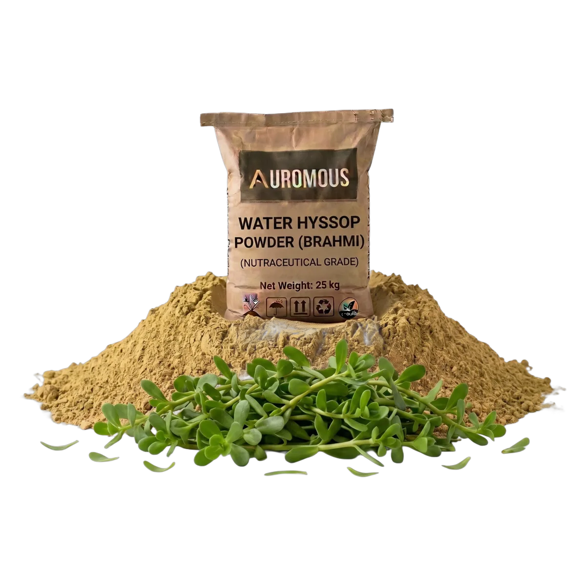Water Hyssop Powder (Brahmi)