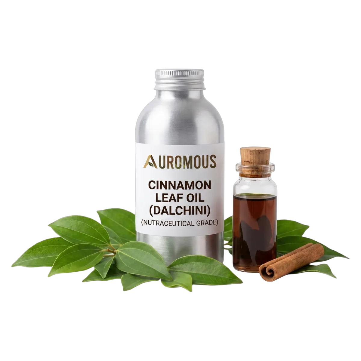 Cinnamon Leaf Oil (Dalchini)