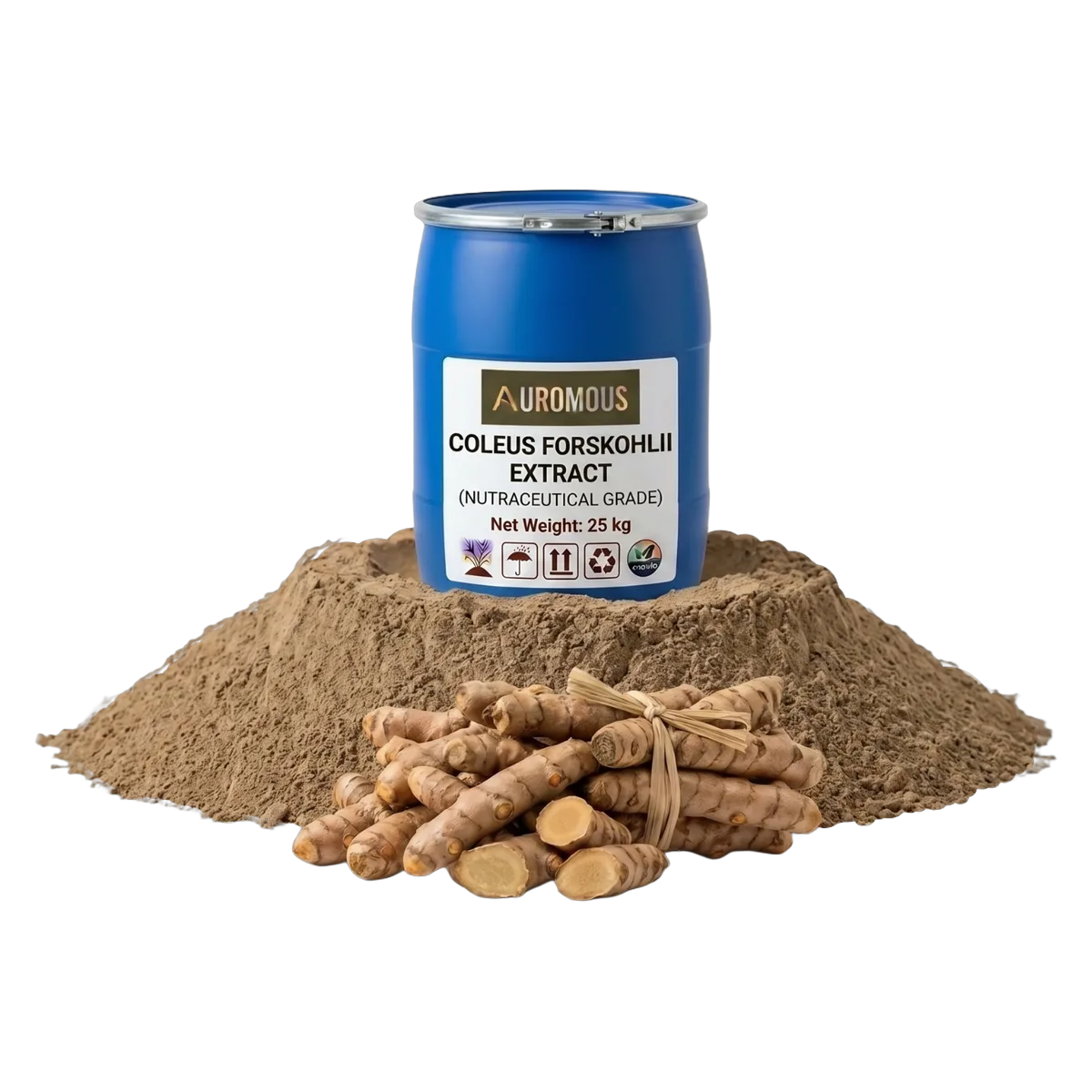 Coleus Forskohlii Extract
