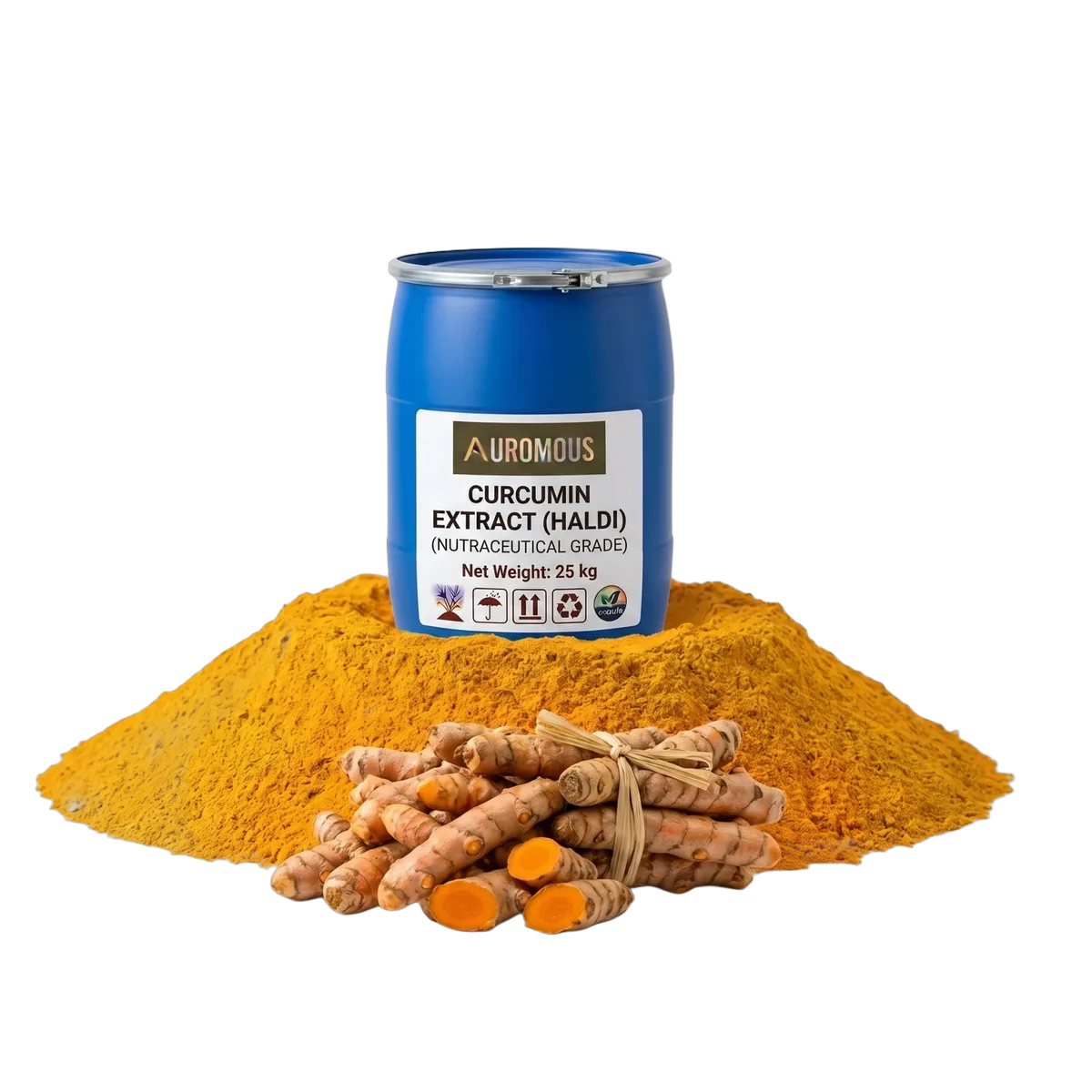 Curcumin Extract (Haldi)