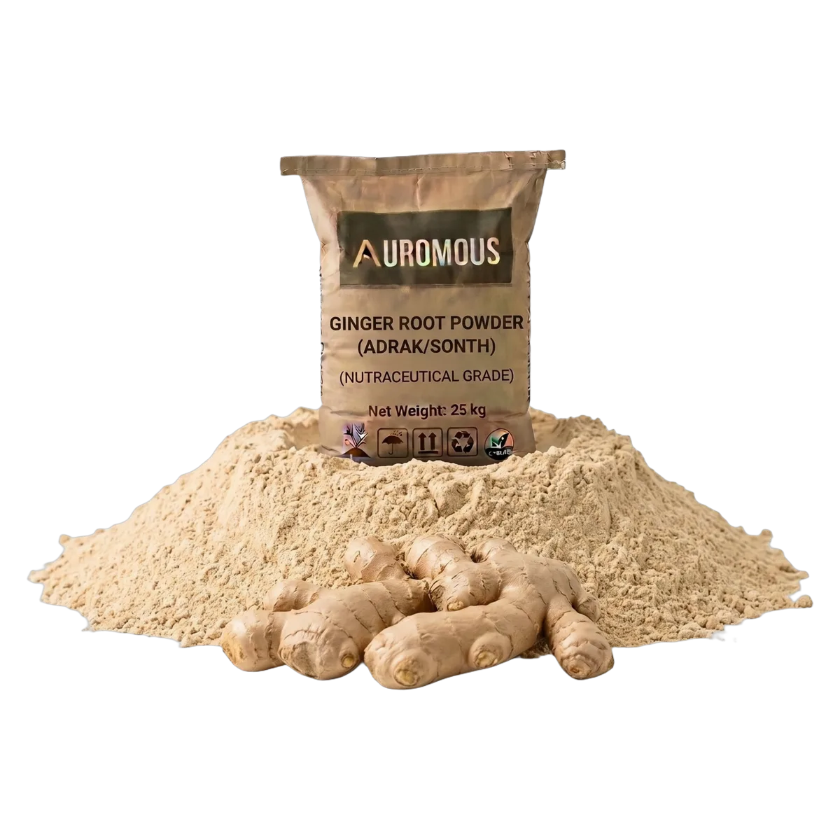 Ginger Root Powder (Adrak / Sonth)
