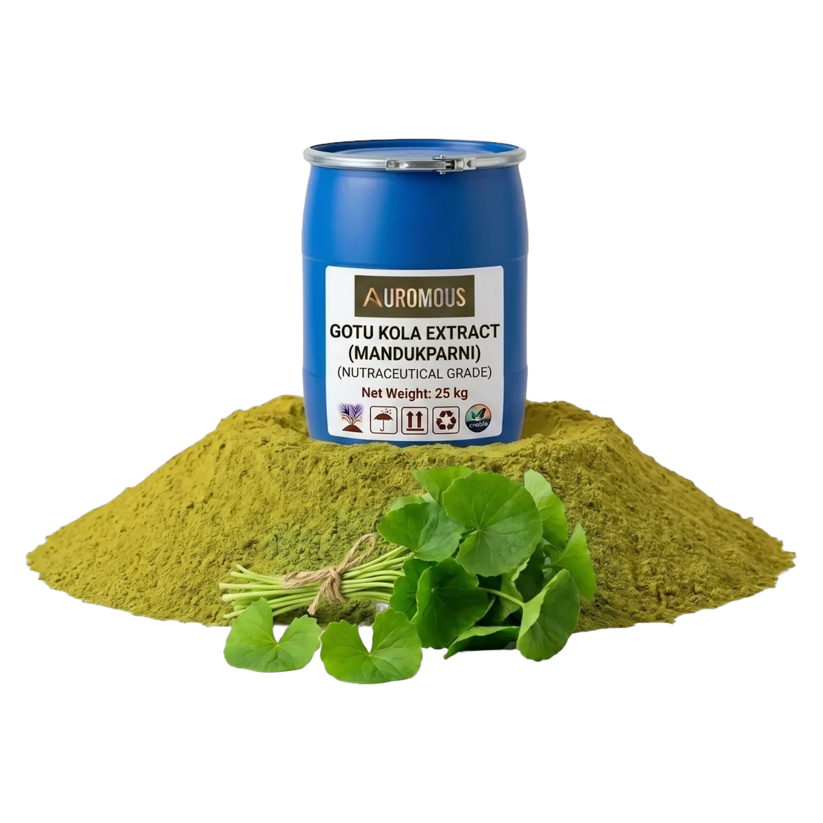Gotu Kola Extract (Mandukparni)