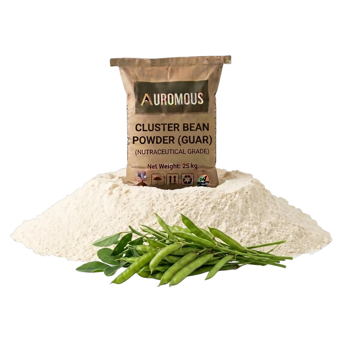 Guar Gum