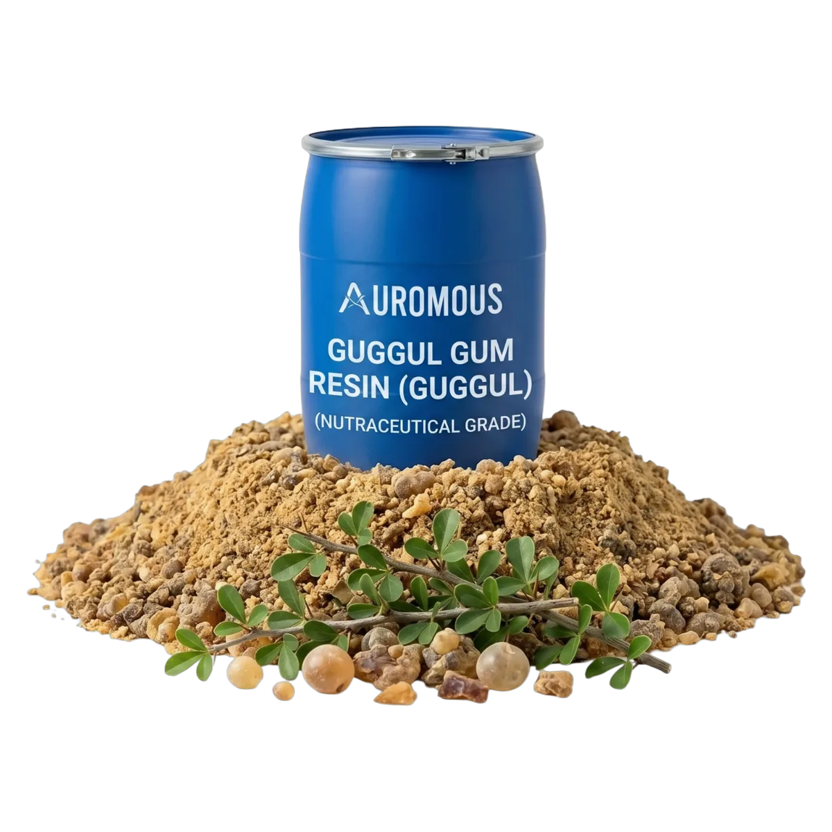 Guggul Gum Resin