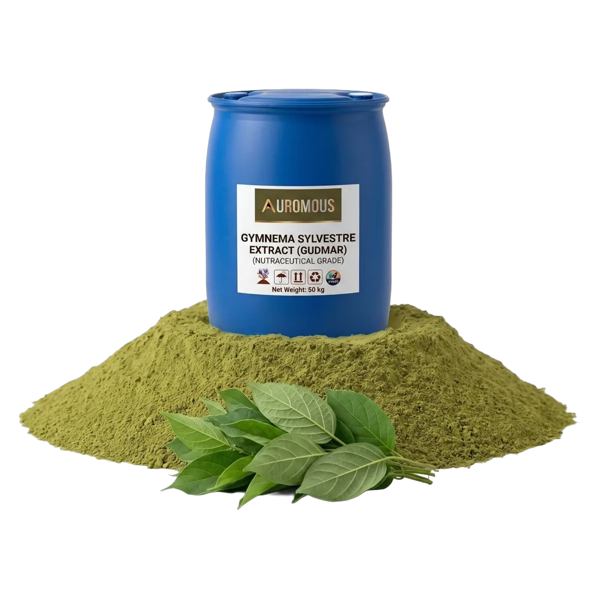 Gymnema Sylvestre Extract (Gudmar)