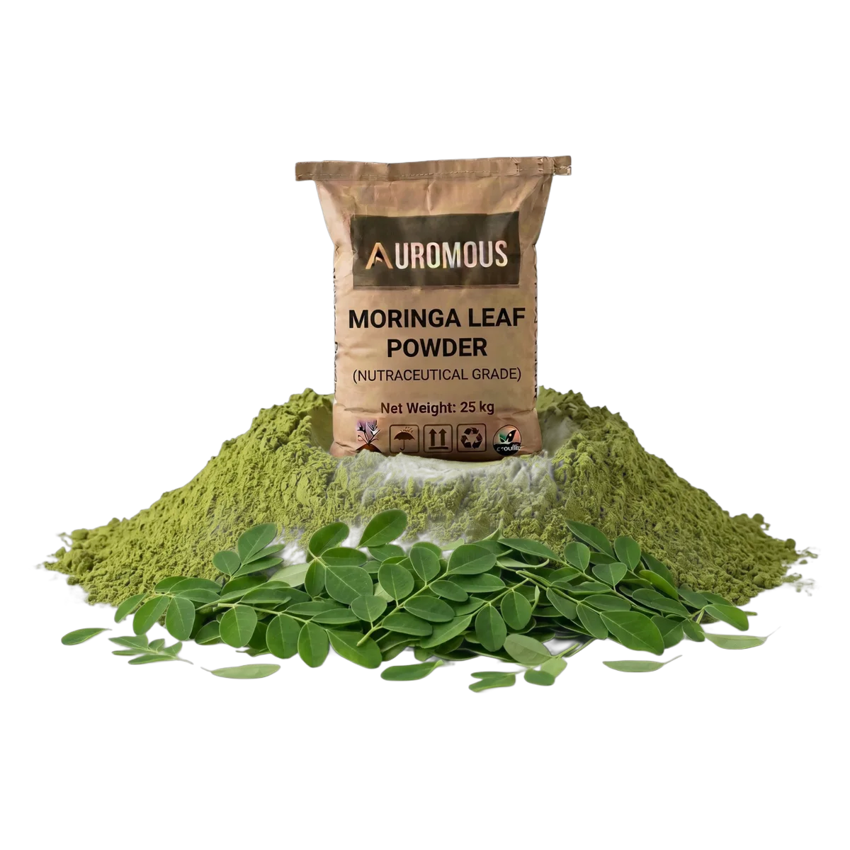 Moringa Leaf Powder (Sahjan)