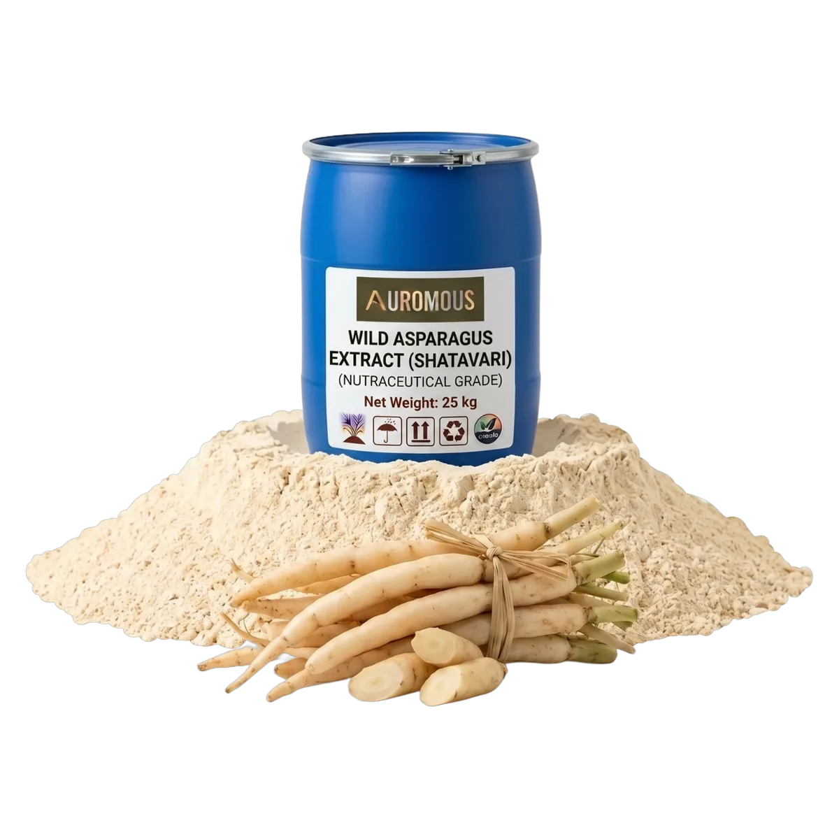 Wild Asparagus Extract (Shatavari)