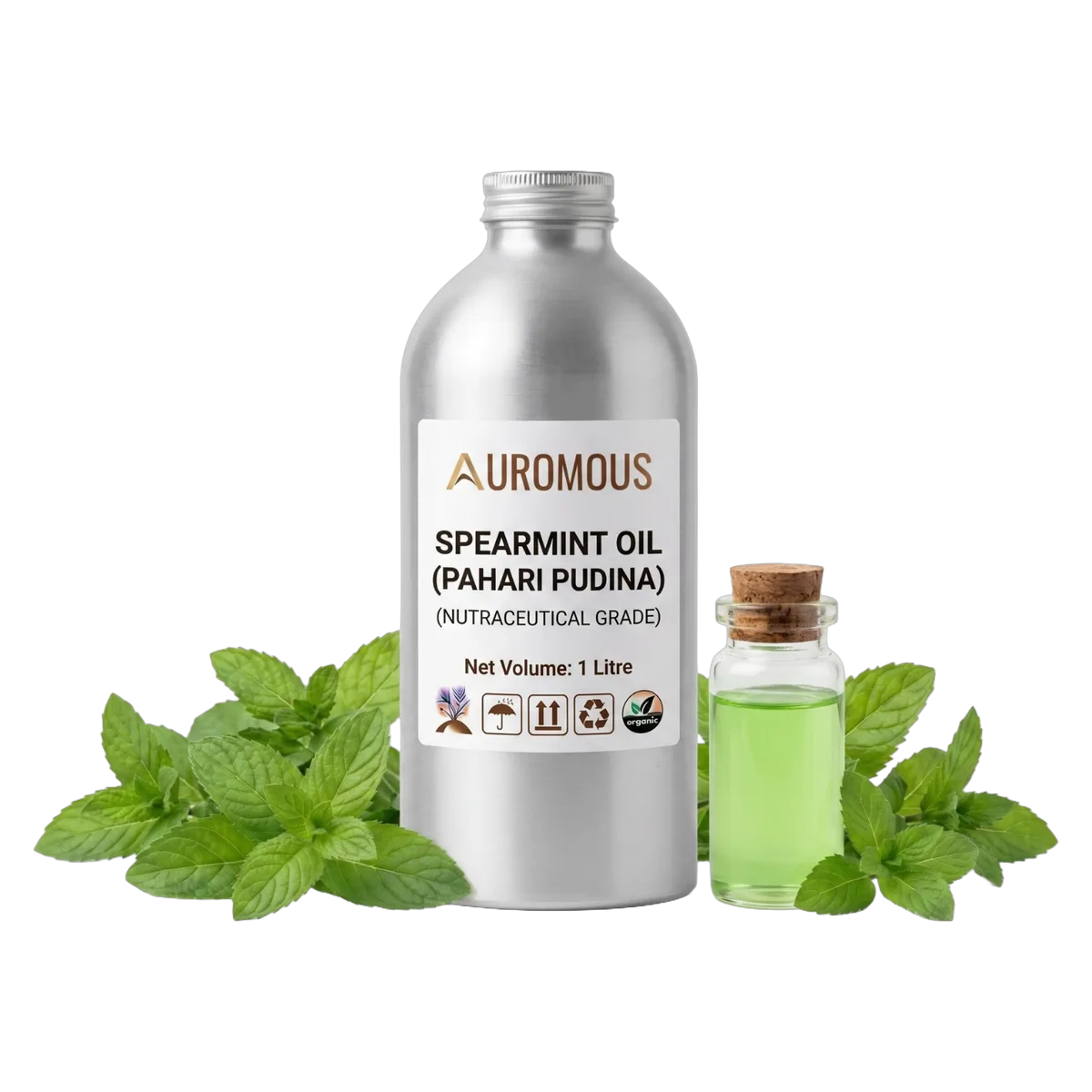 Spearmint Oil (Pahari Pudina)