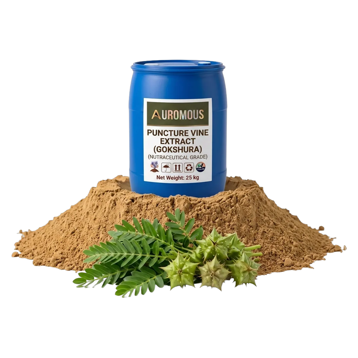 Puncture Vine Extract (Gokshura)