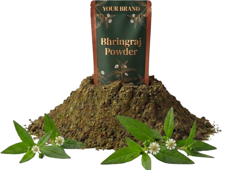 False Daisy (Bhringraj) Powder